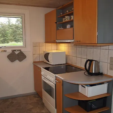 Dane - 500m From The Sea By Interhome Blavand